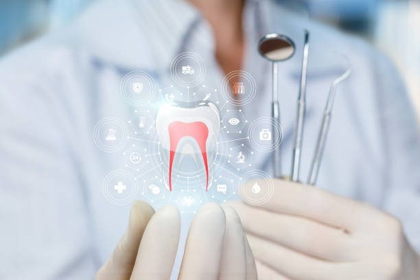 Bonneau Beach, SC Holistic Dental Care Services Company